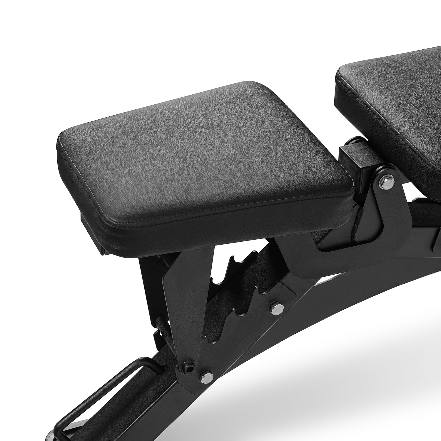 Dione Trainingsbank Halterbank