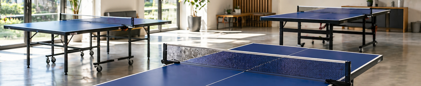 Tafeltennistafels voor indoor en outdoor