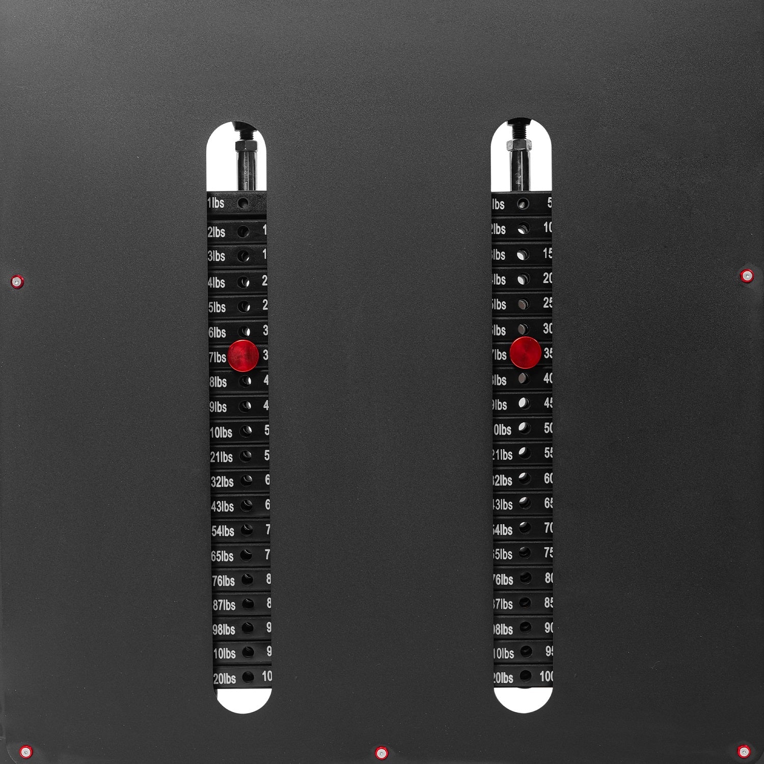 DIONE Cable Crossover  2 x 100KG PRO - 4