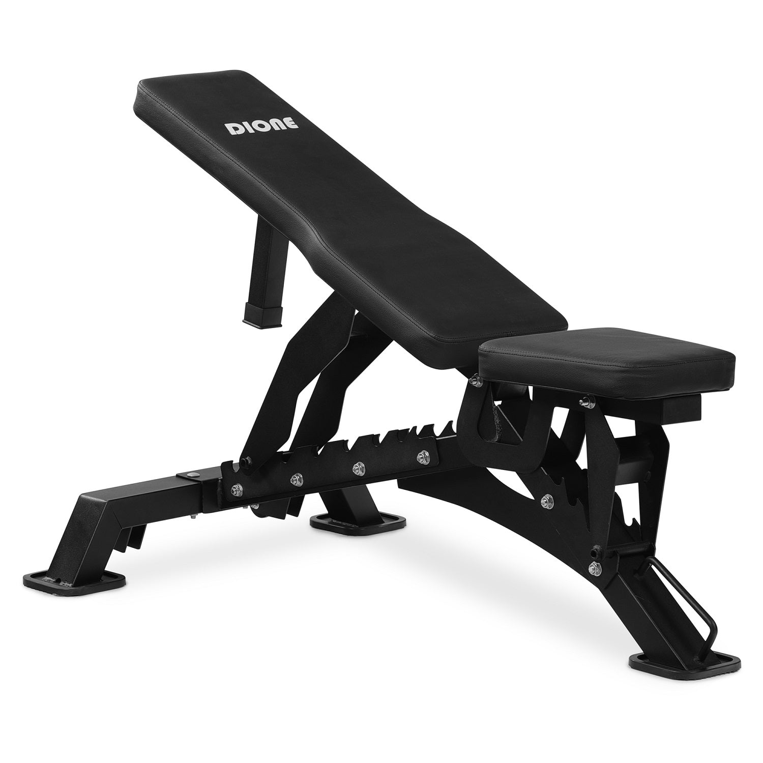 Dione Trainingsbank Halterbank