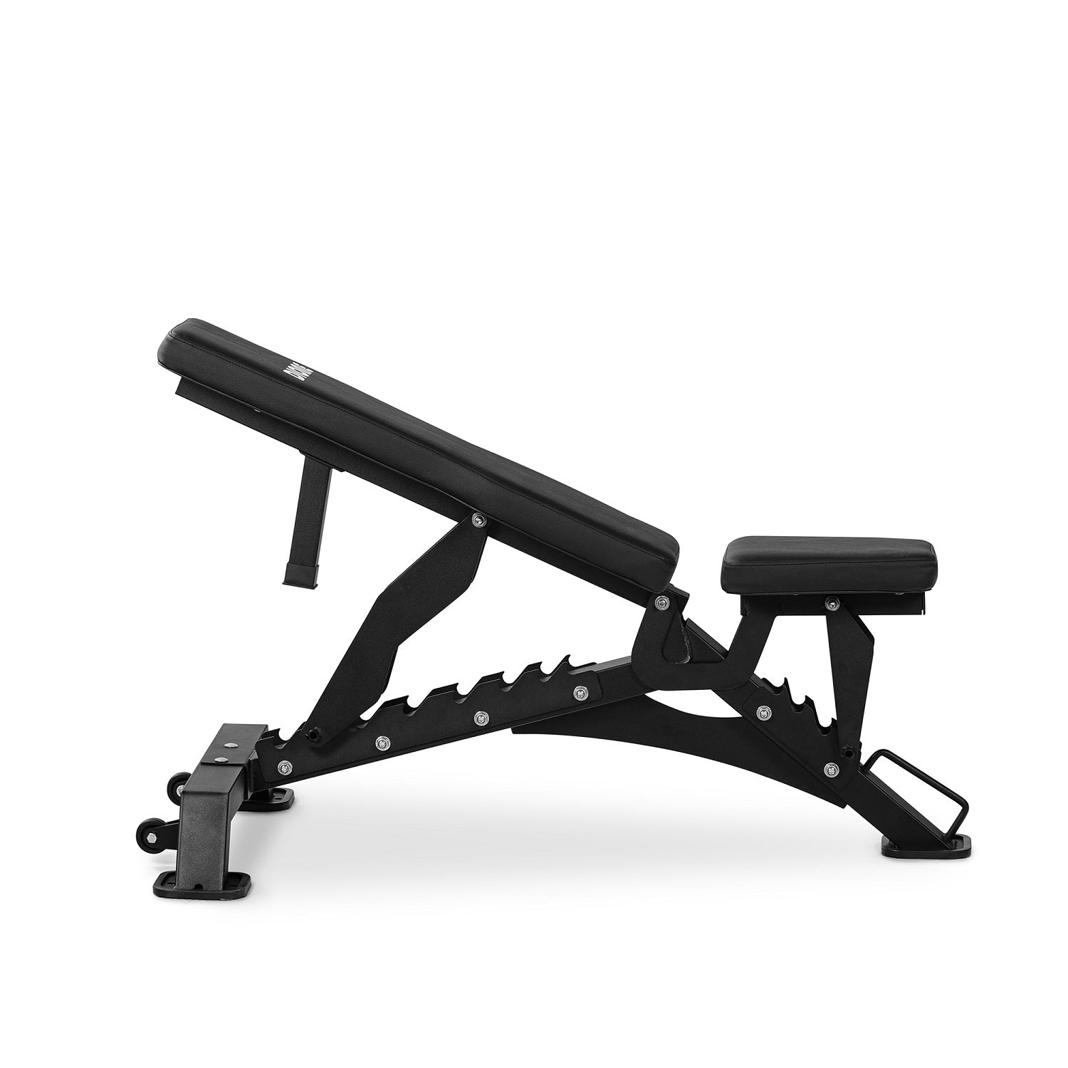 Dione Trainingsbank Halterbank