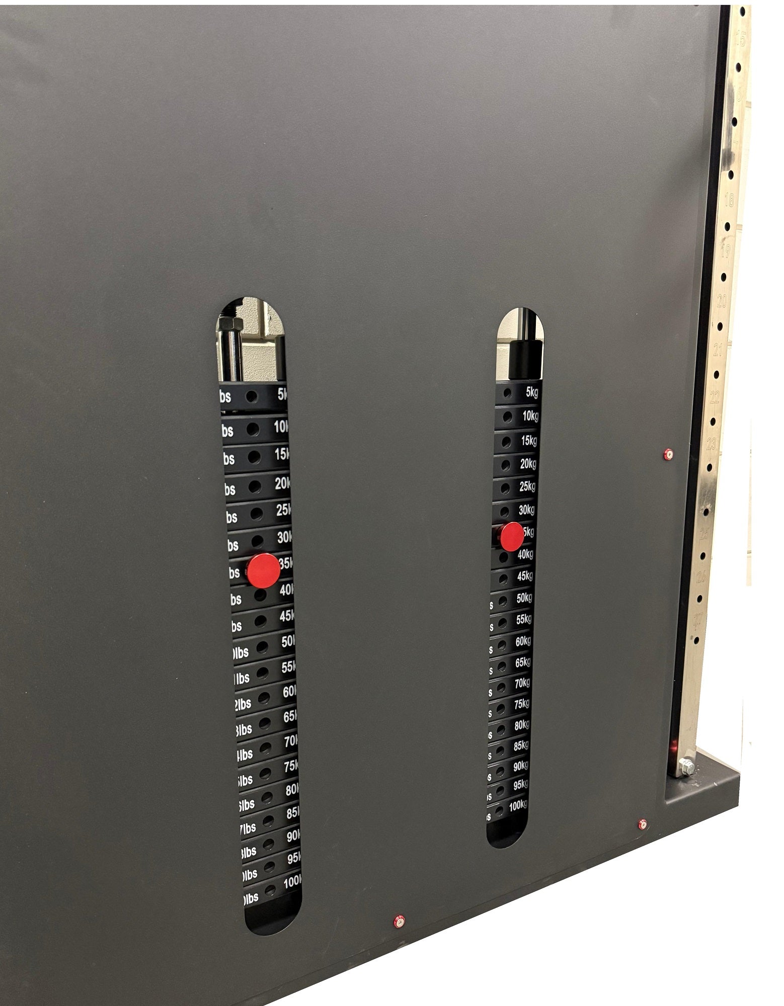 DIONE Cable Crossover  2 x 100KG PRO
