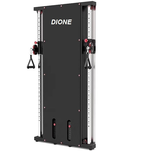 DIONE Cable Crossover  2 x 100KG PRO