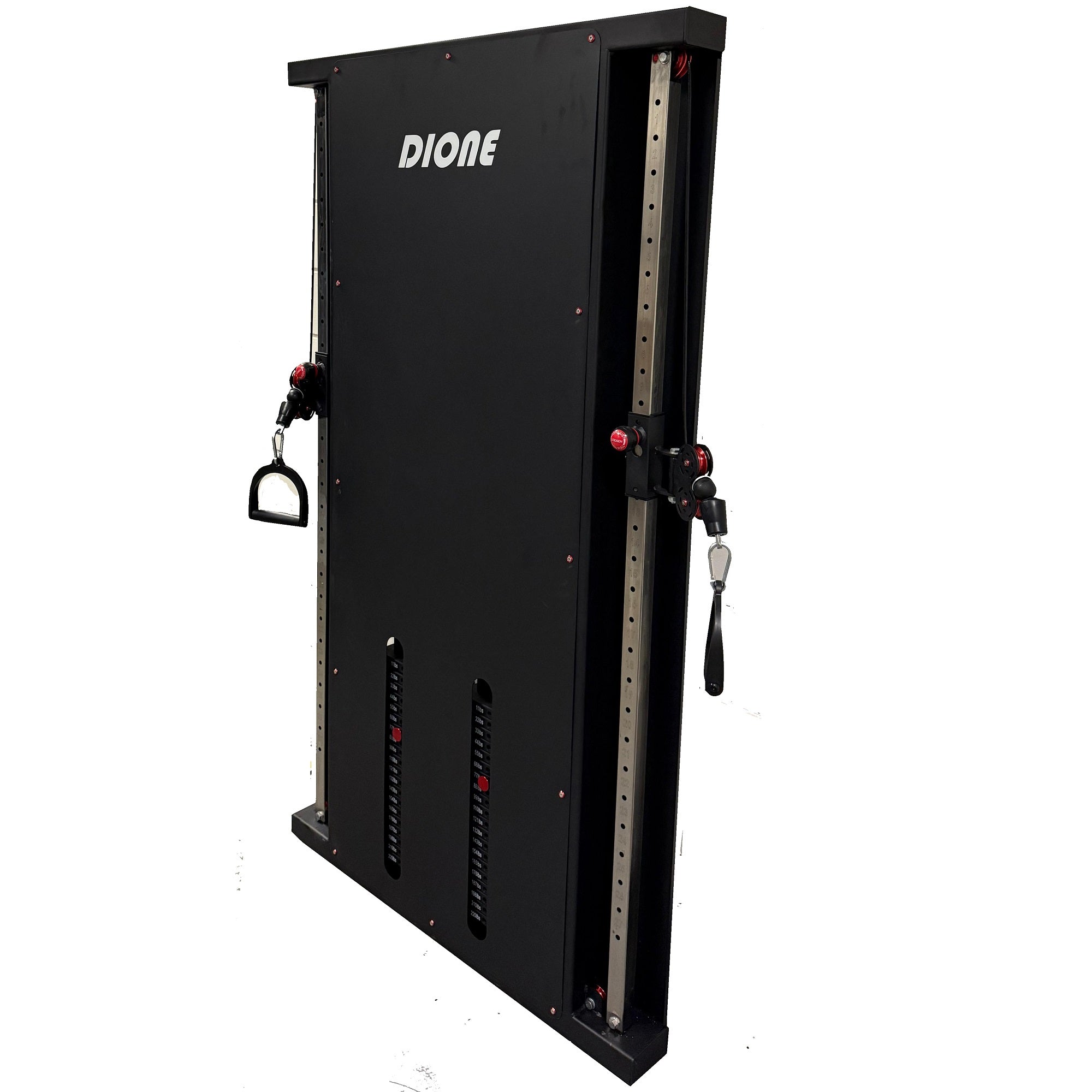 DIONE Cable Cross Stazione Multifunzione 2 x 100KG PRO