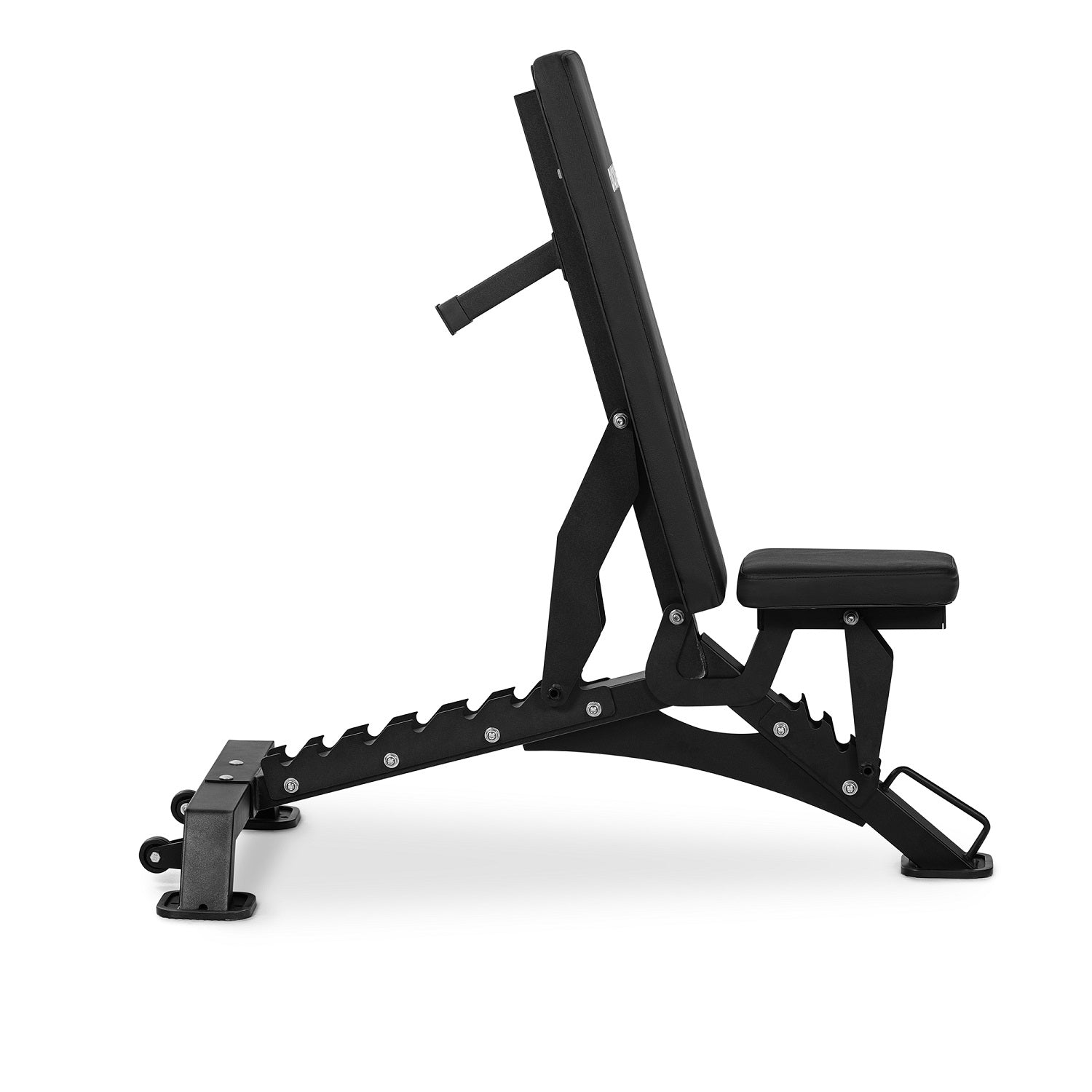 Dione Trainingsbank Halterbank