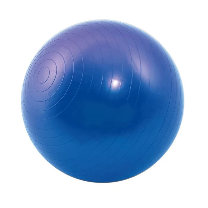 Pelota de gimnasia 65 cm Pelota de gimnasia PVC anti-explosión